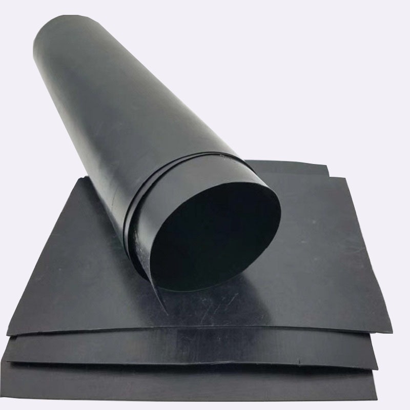 WhatsApp Image 2026-01-06 at 11.34.56 AM