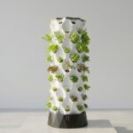 Vertical Hydroponic Tower