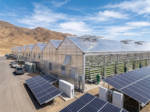 Polycarbonate Sheets for Greenhouse - Image 3